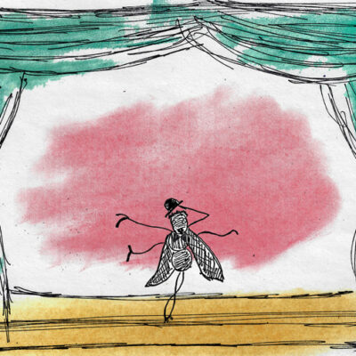 The Theater Bug